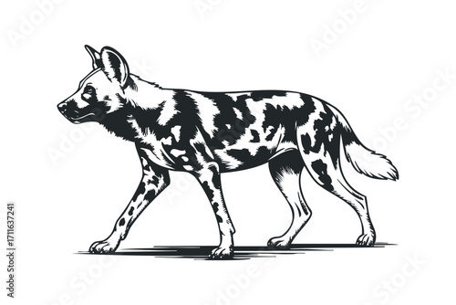 African Wild Dog Walking Silhouette Isolated on White. Vector hand drawn illustration