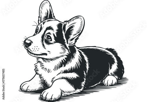 Pensive Pembroke Welsh Corgi Puppy Lying Down Sketch. Vector hand drawn illustration