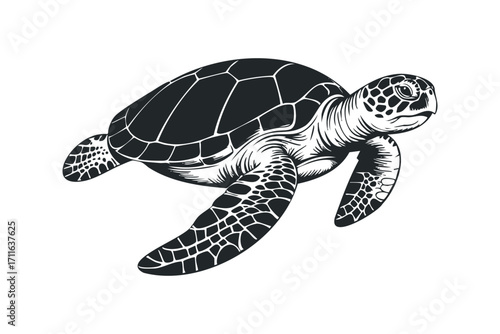 Black silhouette of a sea turtle swimming on a transparent background,. Vector hand drawn illustration