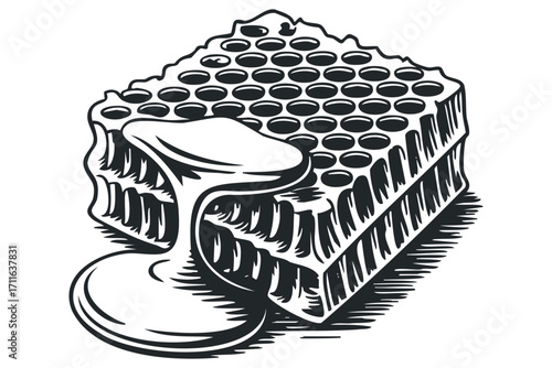Honeycomb with dripping honey isolated on white. Vector hand drawn illustration