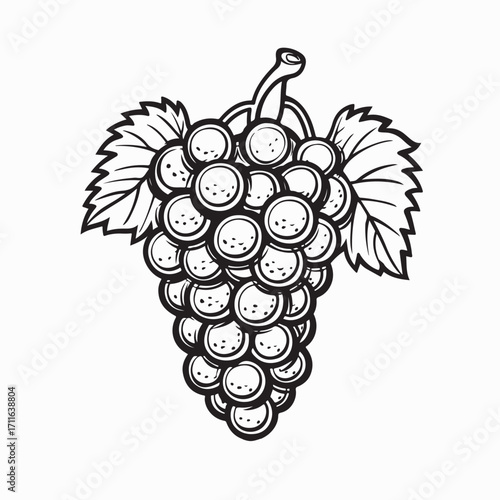 Fresh Grapes with Leaves Vector Illustration for Healthy Fruit
