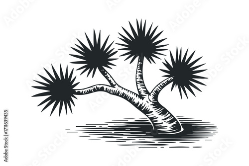 Stylized Yucca Tree Silhouette on Transparent Background. Vector hand drawn illustration
