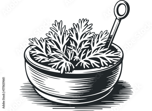 Woodcut style parsley in bowl with handle tool. Vector hand drawn illustration