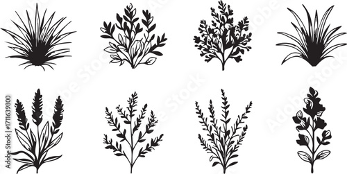 Vector illustration: botanical plant clipart set - grass, leaves, and floral elements for design eps silhouette