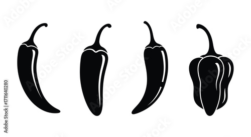 Set of four black silhouette chili peppers showing variety of shapes and sizes vector