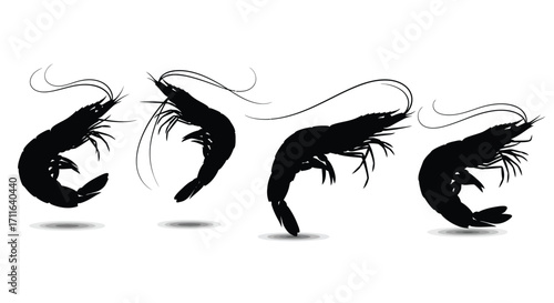 Four silhouette shrimp in dynamic poses underwater aquatic seafood marine life collection vector