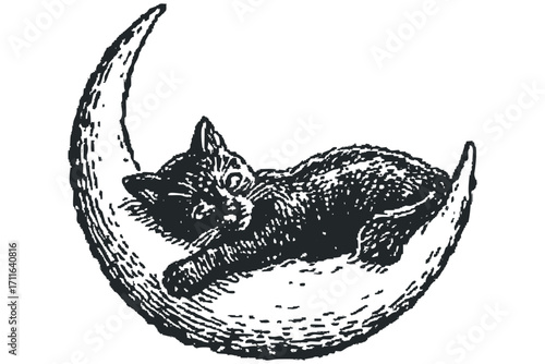 Kitten resting on crescent moon, black line art. Vector hand drawn illustration