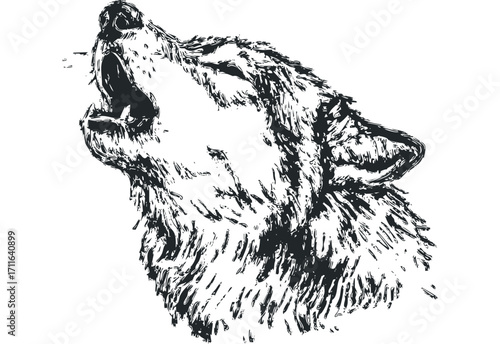 Black Ink Wolf Howling Graphic. Vector hand drawn illustration