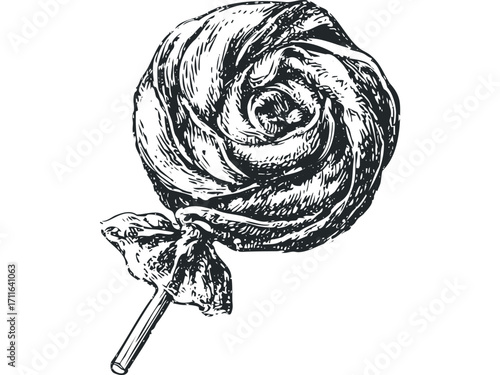 Swirl Lollipop Stick. Vector hand drawn illustration