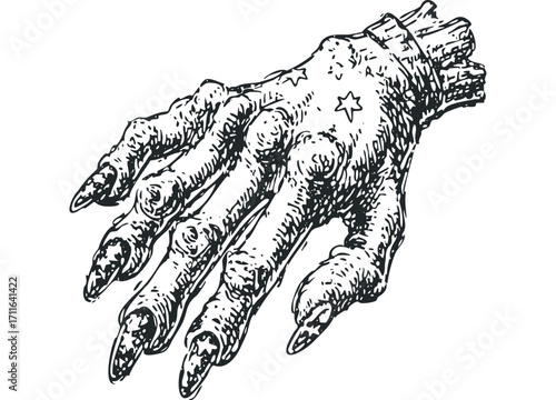 Textured black and white sketch of a monstrous hand with sharp claws and star accents,. Vector hand drawn illustration