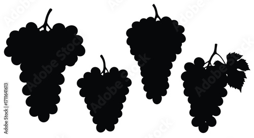 Silhouette clusters of ripe grapes for healthy food and beverage design vector
