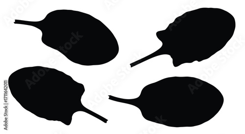 Four black silhouettes of fresh spinach leaves isolated on vector
