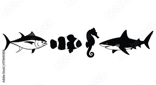 Diverse silhouettes of aquatic life tuna clownfish seahorse and shark in a row vector