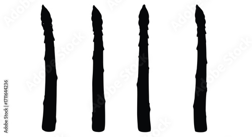 Four fresh asparagus stalks arranged vertically for healthy eating and cuisine vector