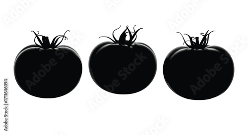 Three silhouetted dark black tomatoes isolated on a clean vector