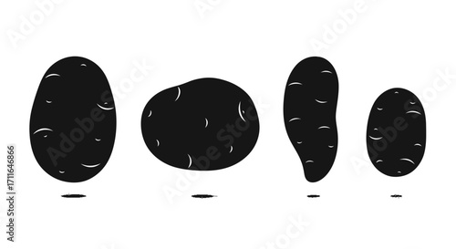 Four silhouetted potatoes displayed artistically on a clean white surface with subtle shadows vector