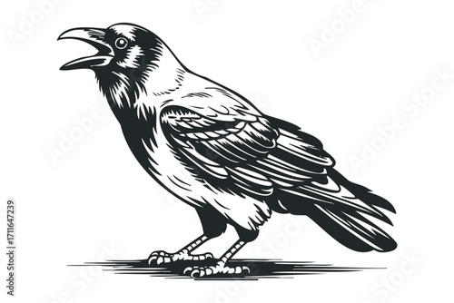 Detailed graphic of crow with open beak standing on abstract surface. Vector hand drawn illustration