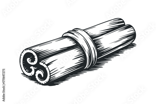 Cinnamon spice sticks on transparent background. Vector hand drawn illustration