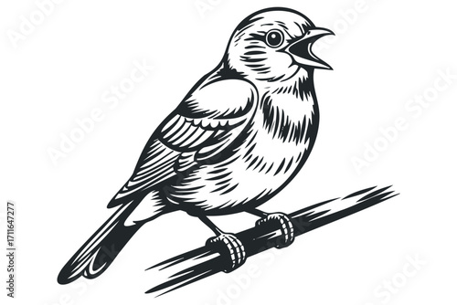 Chirping Bird Perched on Branch Isolated on White. Vector hand drawn illustration