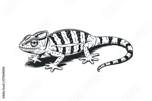 Detailed Line Art Chameleon Reptile. Vector hand drawn illustration
