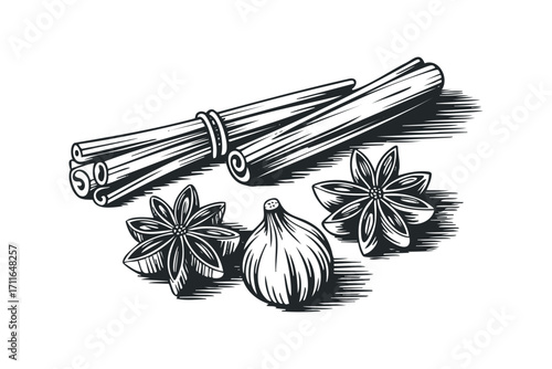 Woodcut style bunch of cinnamon sticks and star anise spices. Vector hand drawn illustration