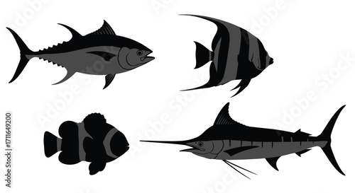 Diverse aquatic life collection four stylized silhouettes of ocean fish in motion vector