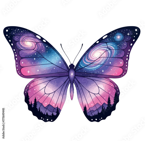 butterfly illustration