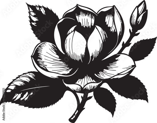 Black and white magnolia flower vector illustration - floral design element eps silhouette