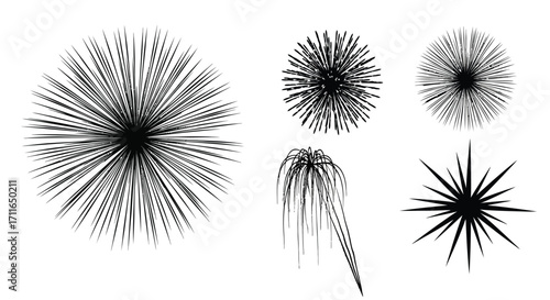 Collection of abstract radiant starburst patterns diverse dynamic explosion shapes vector