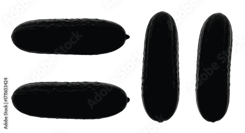 Four black silhouettes of whisk components showing different shapes and styles clearly vector