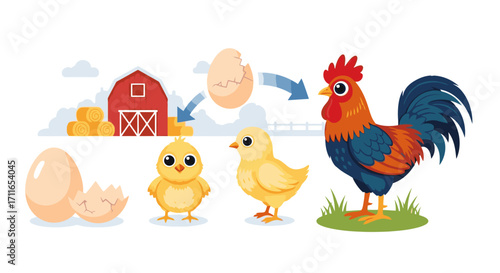 Farm life evolution stages from egg to chick to adult rooster in charming illustration