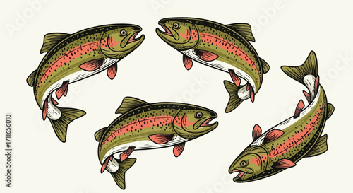 Dynamic illustration of colorful trout fish in a vibrant, eye-catching design for commercial use