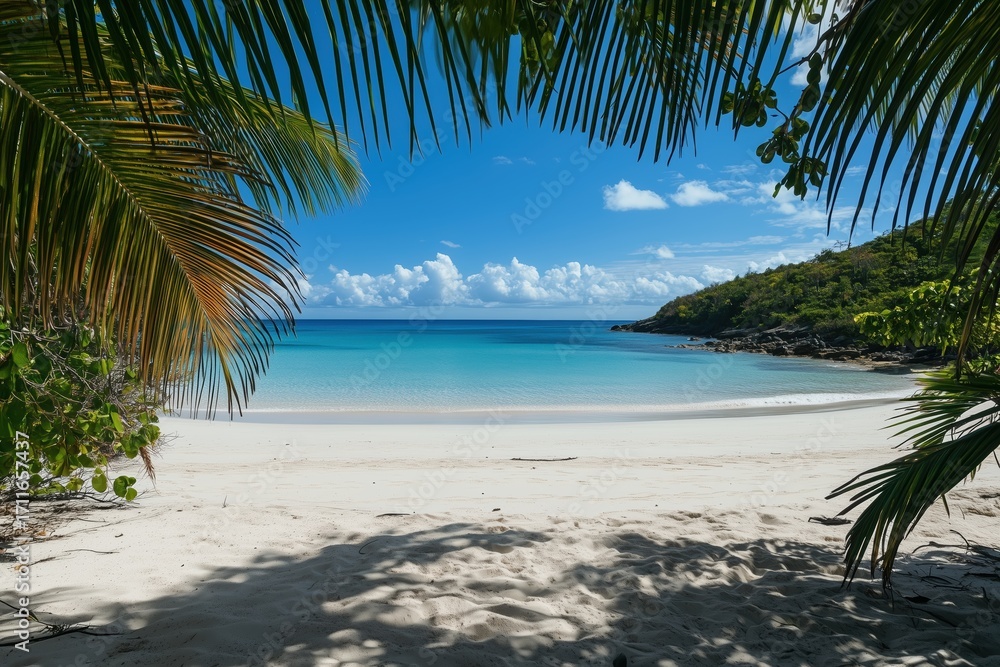 Naklejka premium Tropical beach with white sand turquoise water and palm tree paradise view