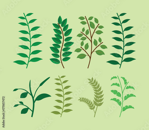 Green leaf branches set isolated vector illustration on light background