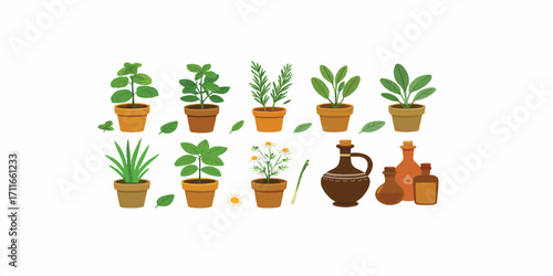 Print  Flat colorful vector set of medicinal plants – potted herbs, leaves, and traditional Ayurveda bottles.