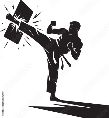 Black silhouette of a man in martial arts uniform breaking a board with a kick karate breaking board