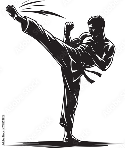 Black silhouette of a man performing a high side kick in martial arts karate