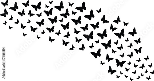 "Butterfly silhouette vector, flying butterflies design, black butterfly swarm, isolated insect pattern, nature flight illustration, decorative insect graphic, curved butterfly motion art"