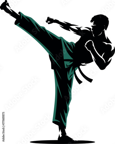 Silhouette of a martial artist performing a high kick in black and teal uniform martial arts karate