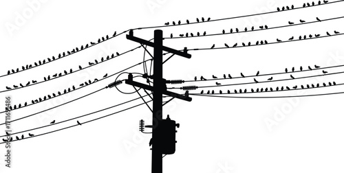 Birds sitting on electric power lines, silhouette illustration of utility pole with perched birds, peaceful nature and urban energy connection