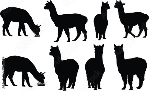Alpaca silhouette set featuring grazing, standing, and directional poses with stylized wool texture and posture diversity for design use