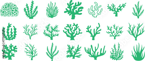 Seaweed vector clipart, coral reef plant PNG, underwater seaweed illustration, marine algae design, tropical coral art, ocean plant clipart, seaweed silhouette PNG, aquatic coral graphic, underwater r