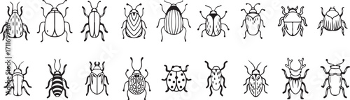 Beetle insect clipart, bug vector illustration, insect line art, beetle silhouette PNG, entomology insect icon, creepy crawly bug clipart, natural insect vector, beetle outline art, entomology graphic