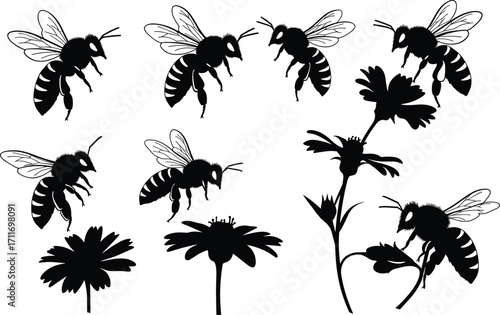 Bee and flower silhouette set featuring flying, hovering, and pollination poses with detailed wings and botanical elements for design use