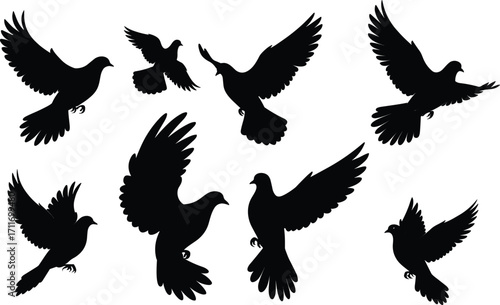 Bird silhouette set featuring dynamic flight poses, varied wing angles, and graceful motion for wildlife illustration, education
