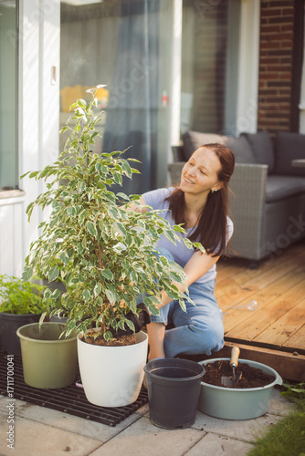 Happy woman gardening at home, repotting houseplant ion outdoor terrace at home
