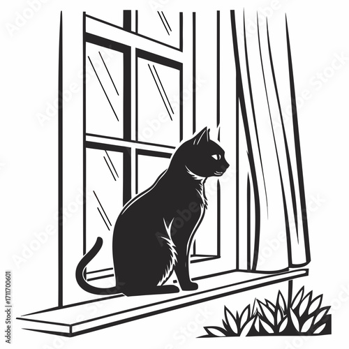 cat on the window