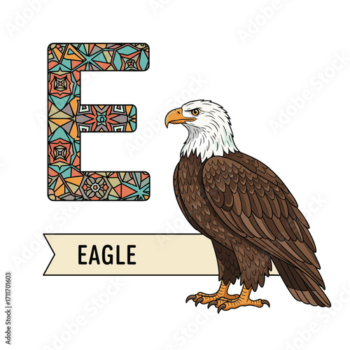 An educational illustration of a bald eagle with the letter e.