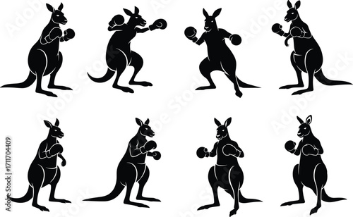 Kangaroo silhouette set featuring upright boxing stances, gloves, and dynamic fight-ready poses for sports-themed and wildlife illustration use