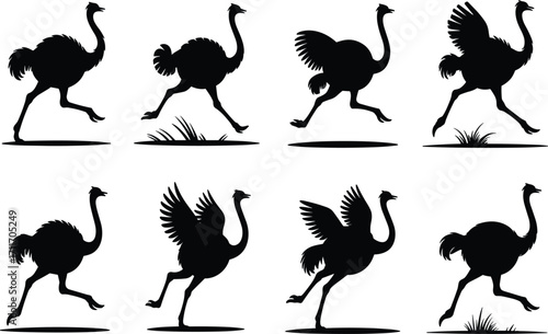 Ostrich silhouette set, black, running poses, feathered wings, motion cycle, vector, isolated, wildlife movement bundle, nature icons